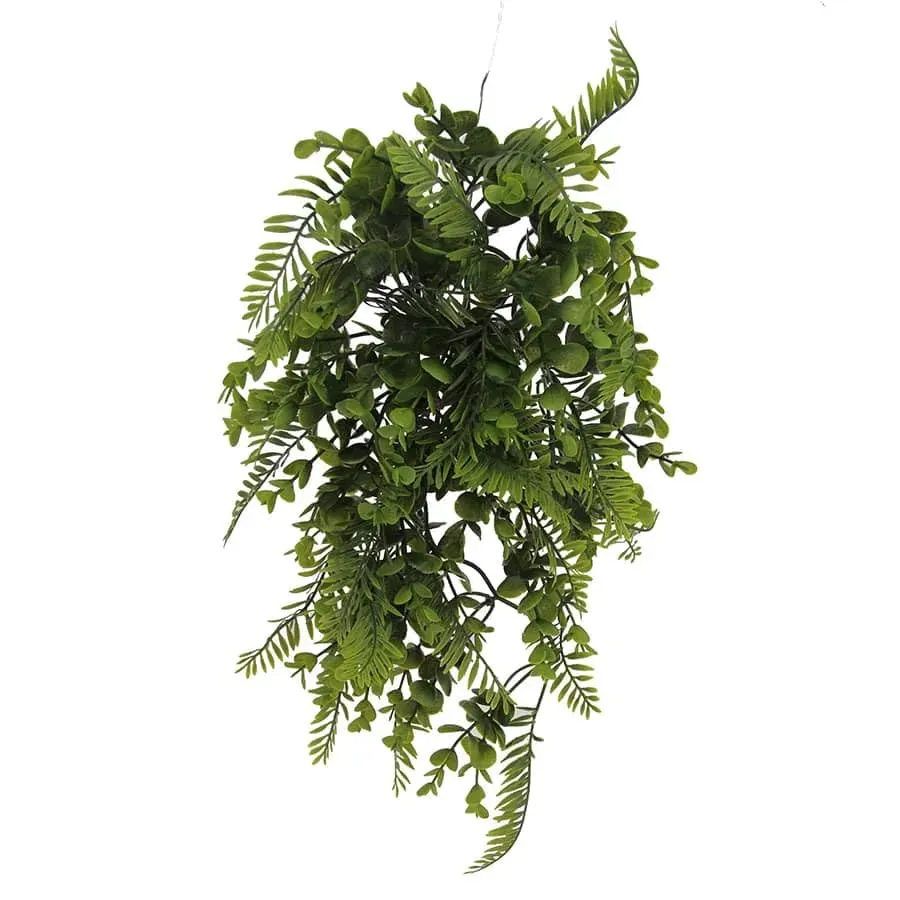 Lucky Reptile Tropical Mix Bush Terrarienpflanze 150 g hängend