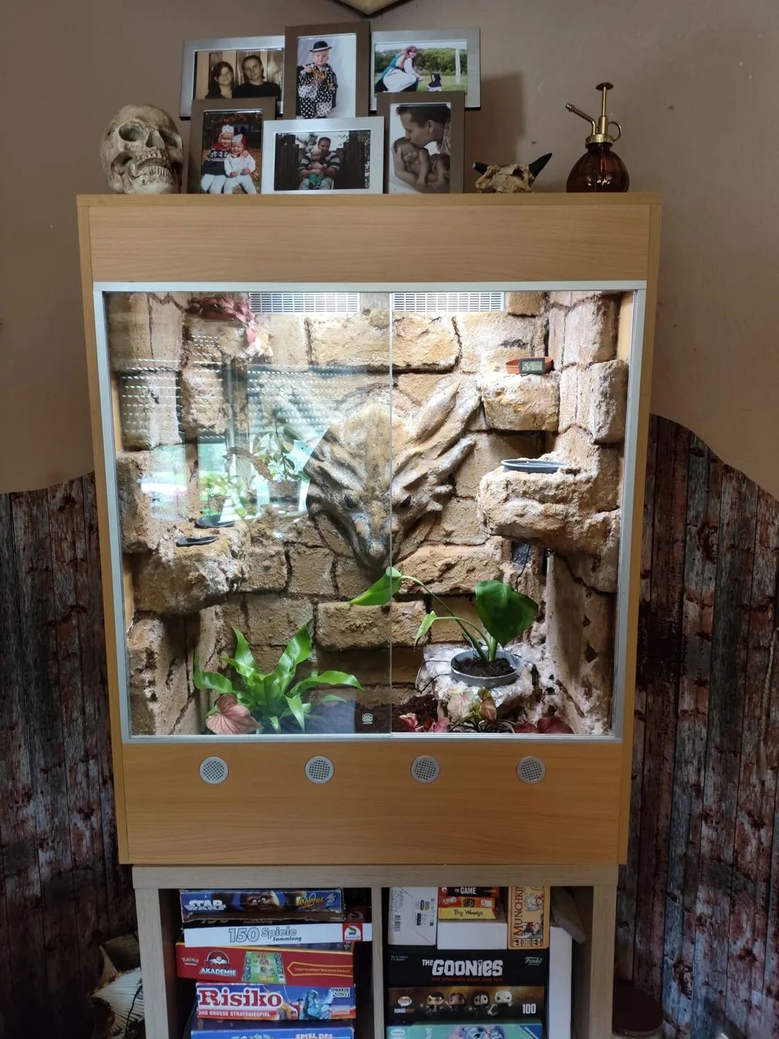 Lucky Reptile FT-8510B FurniTarrium Holzterrarium Buche