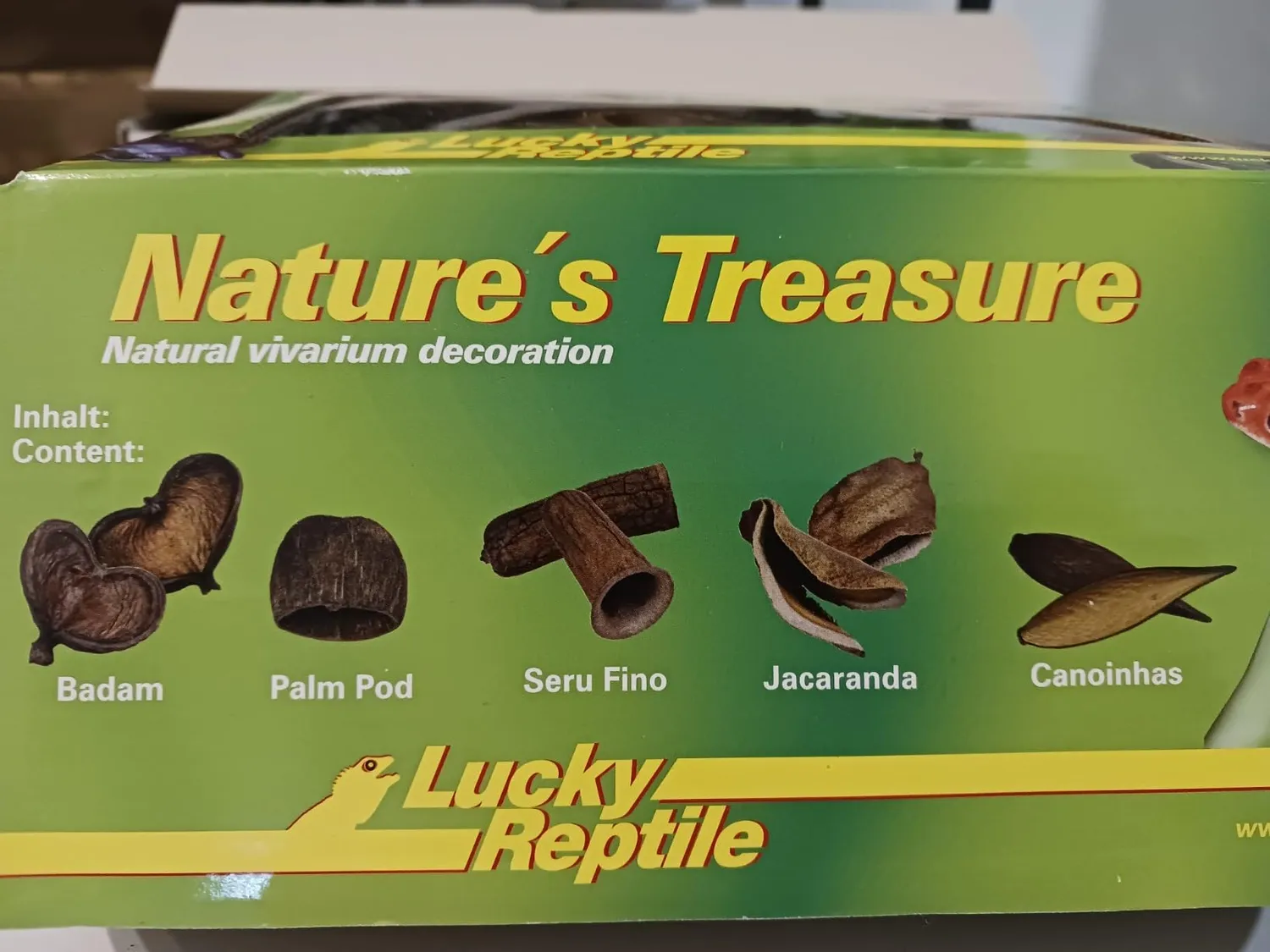 Lucky Reptile DB-01 Nature's Treasure Deko Box Natur