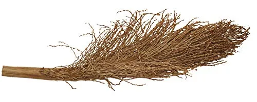 Lucky Reptile Palmwedel Palmfackel Terrariendeko 30-40 cm