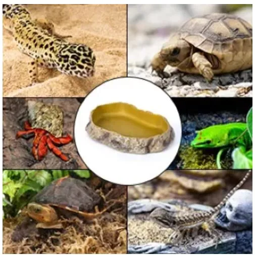 ReptiZoo Futterschale