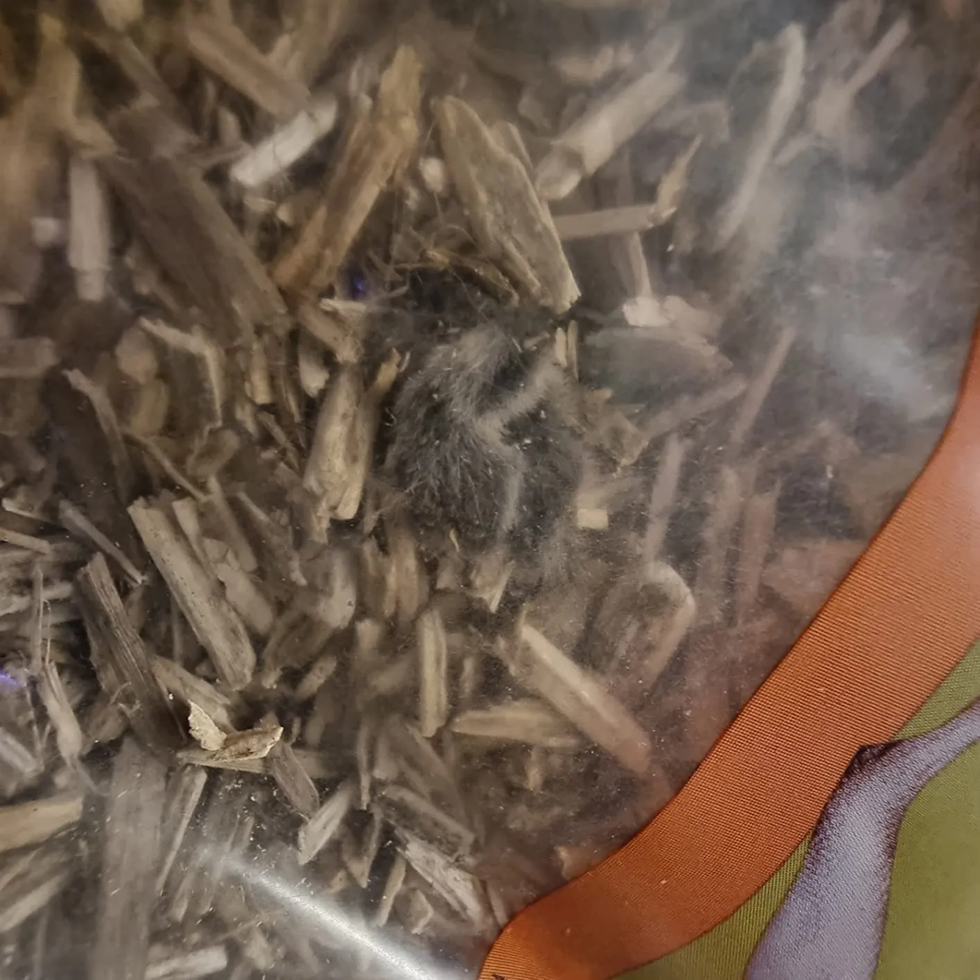 Lucky Reptile Snake Bedding Einstreu Hanf