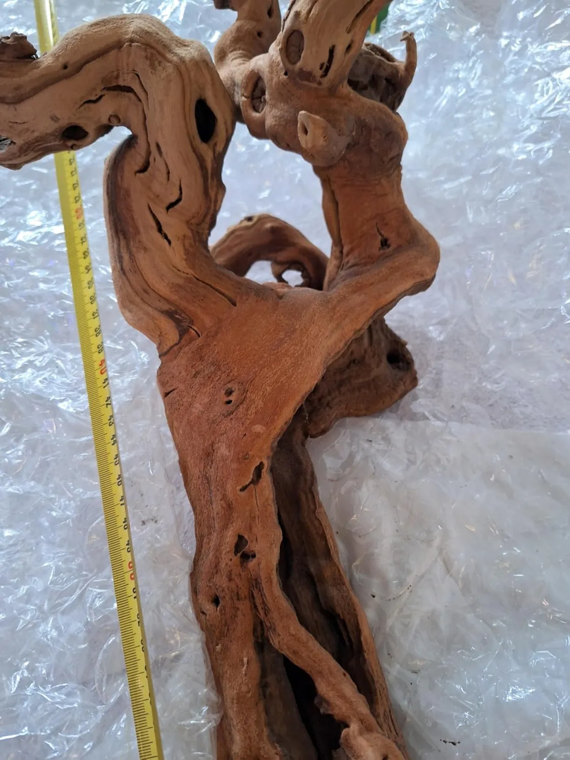 Lucky Reptile Rebholz Kletterholz