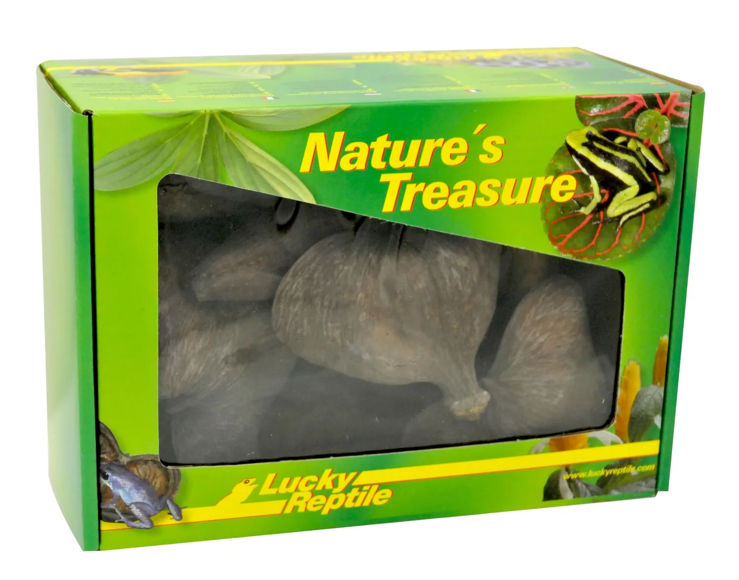Lucky Reptile DB-01 Nature's Treasure Deko Box Natur