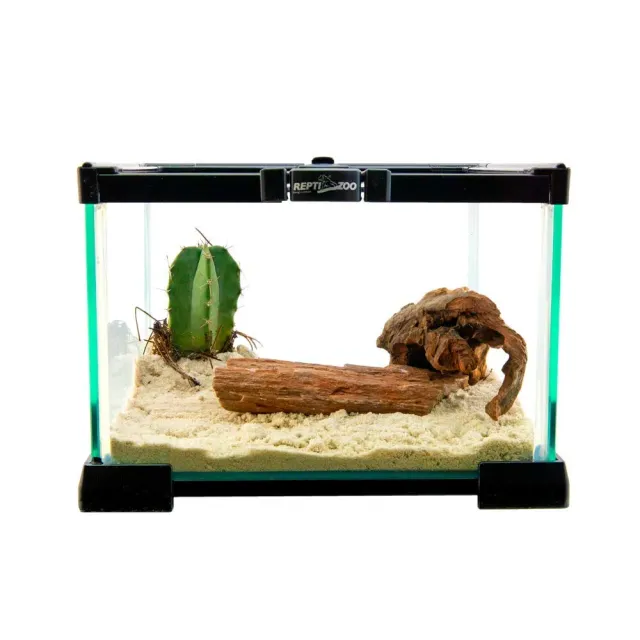 Repti-Zoo AK Glasterrarium transparent