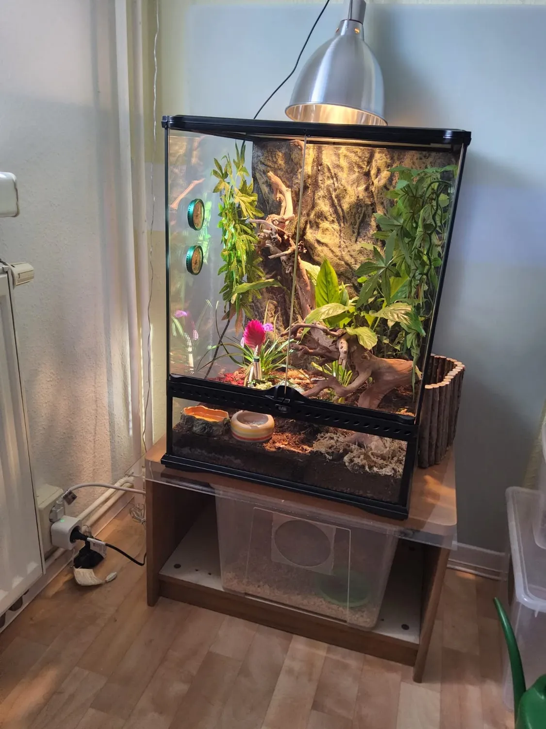 Lucky Reptile Rebholz Kletterholz