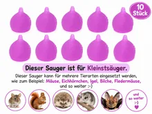 Die Mehlwurmfarm Kleinstsauger #2 Tierfutter für Eichhörnchen