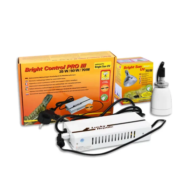 Lucky Reptile Bright Sun Desert Lampenset Wüste