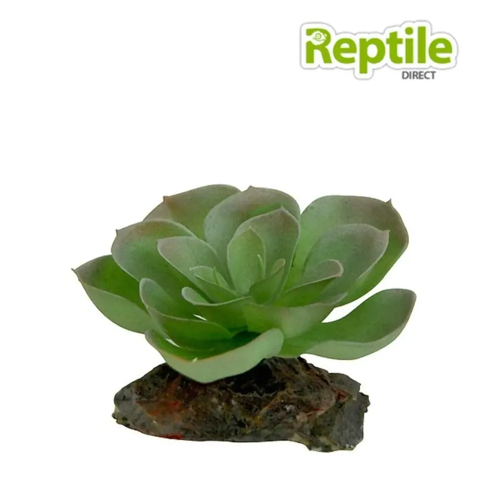 Lucky Reptile Kalahari Busch Kunstpflanze Terrarium