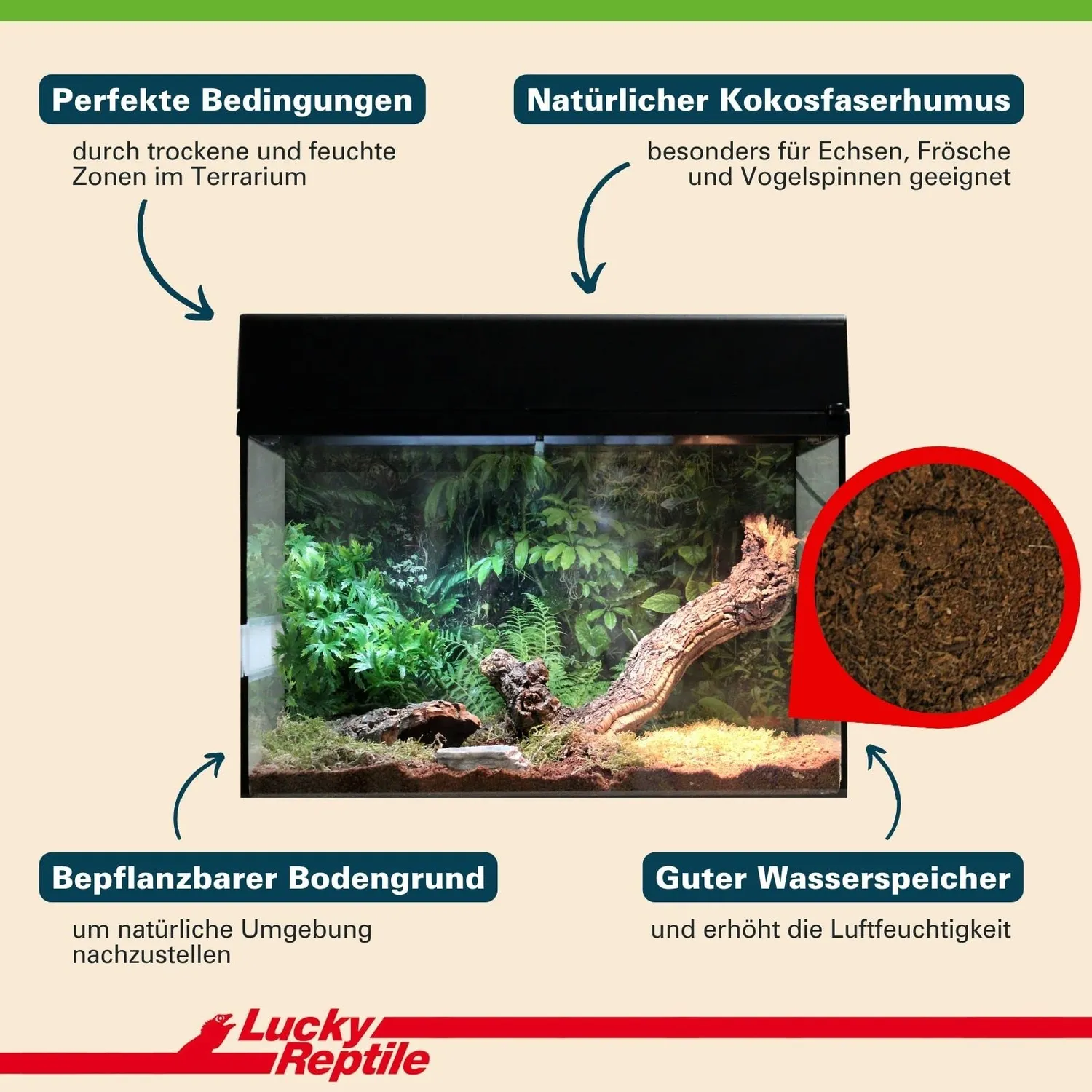 Lucky Reptile Terrarienhumus Kokoshumus