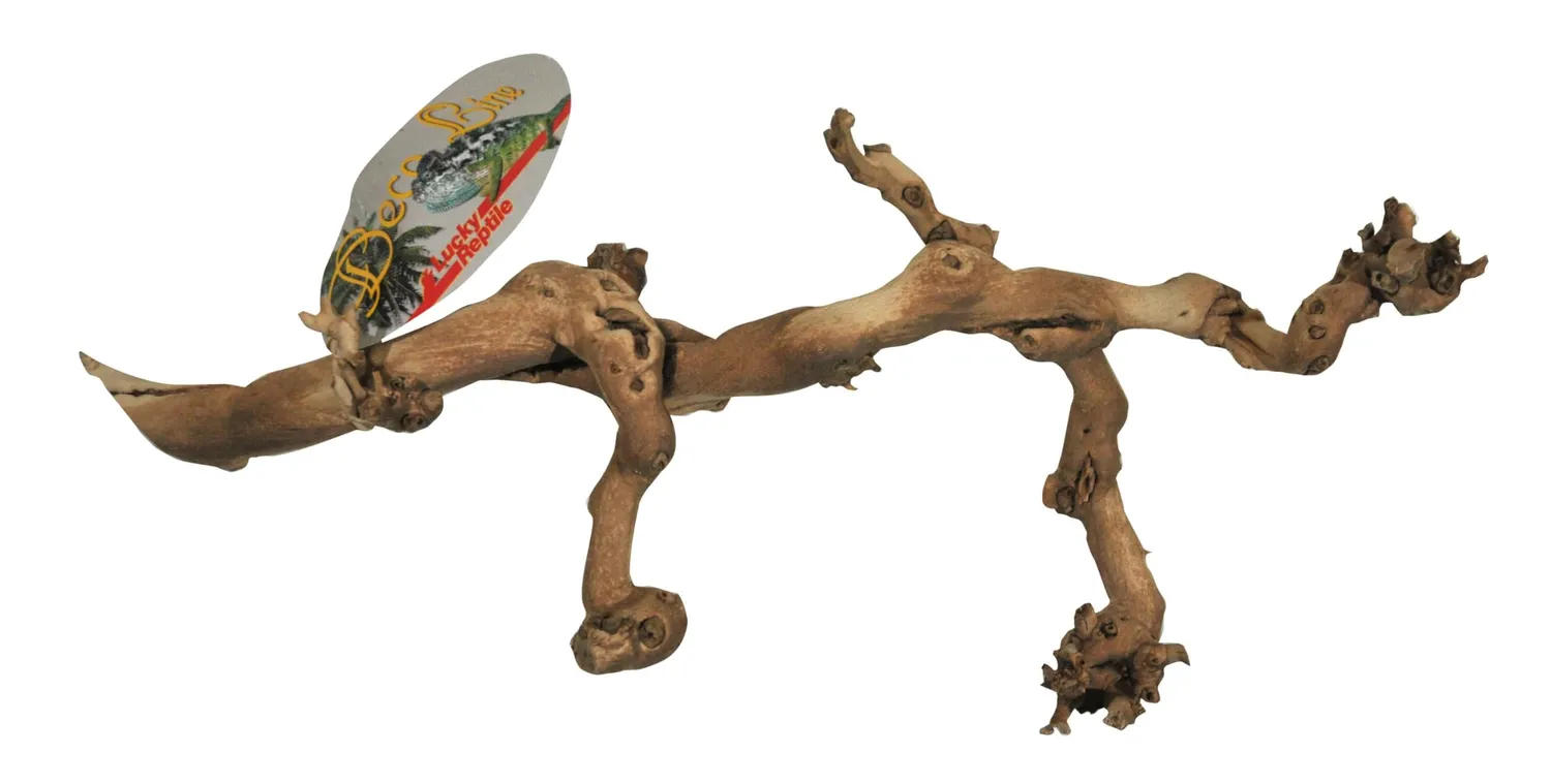 Lucky Reptile Rebholz Kletterholz