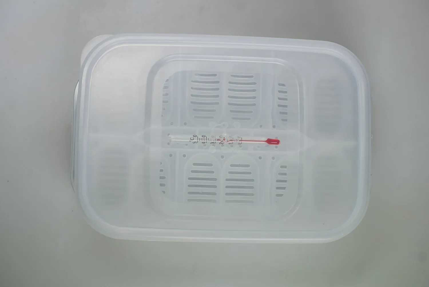 Lucky Reptile Hatch Box Brutbox für 12 Eier mit Thermometer