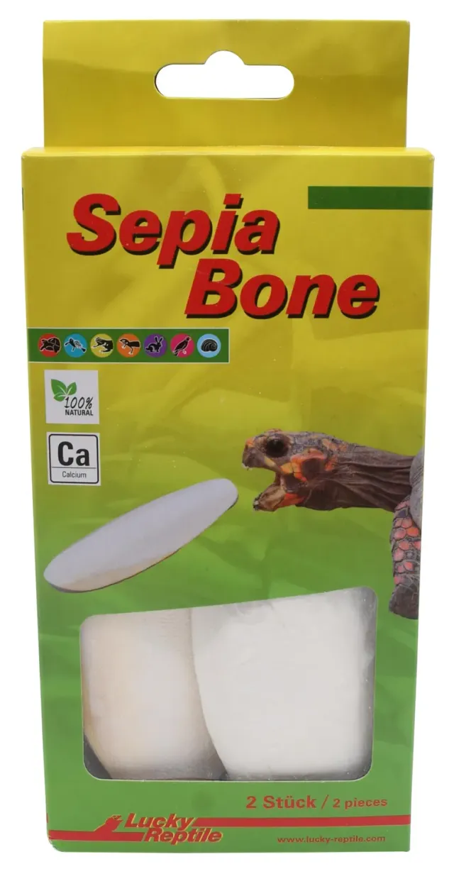 Lucky Reptile Sepia Bone Sepiaschulp