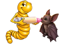 Die Mehlwurmfarm Fledermaus Fütterungsspitzen Set flexibel
