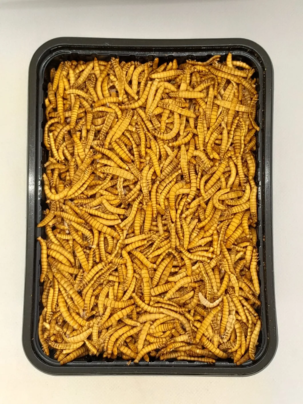 Die Mehlwurmfarm Gefrorene Mehlwürmer Frostfutter 1 kg
