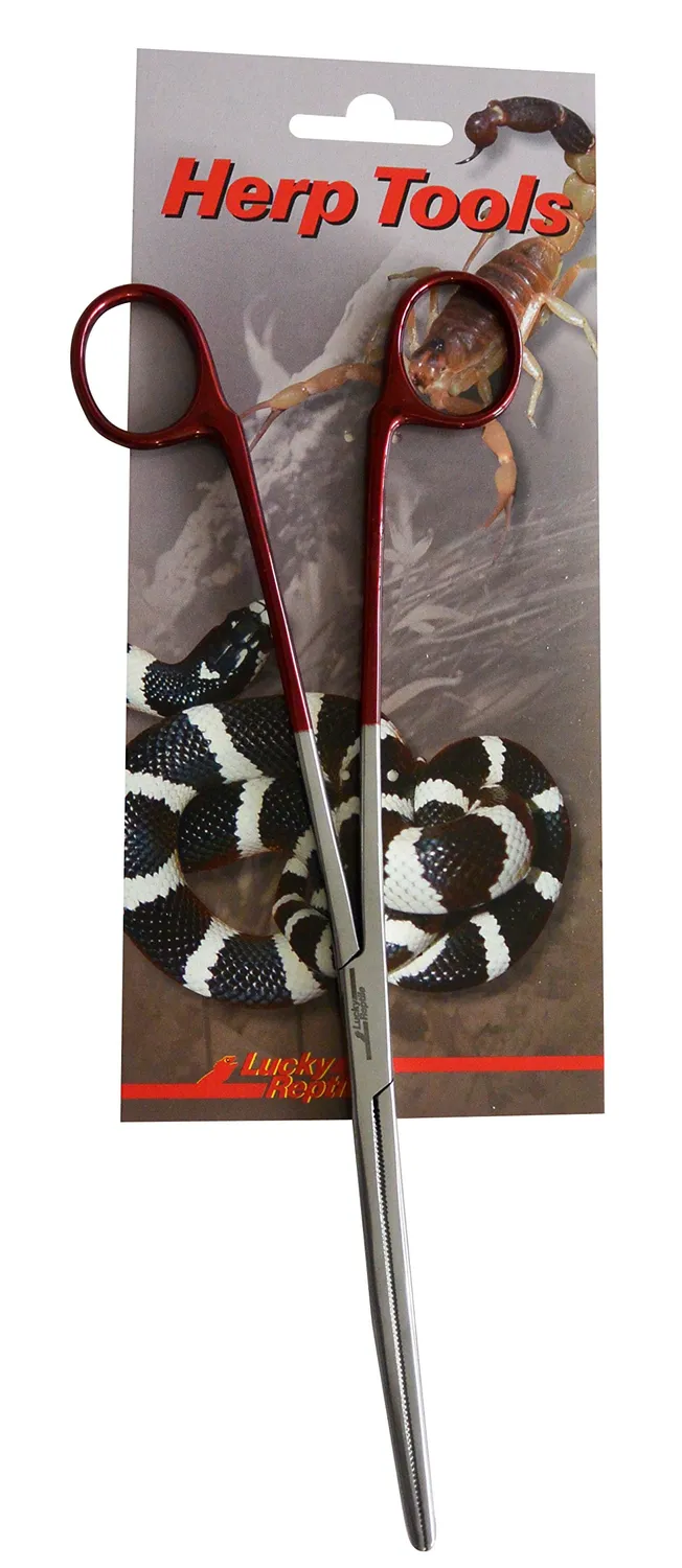 Lucky Reptile Futterzange Futterpinzette abgewinkelt