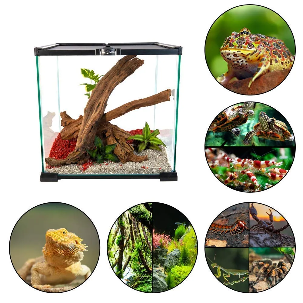 Repti-Zoo Simple Habitat Terrarium Glas