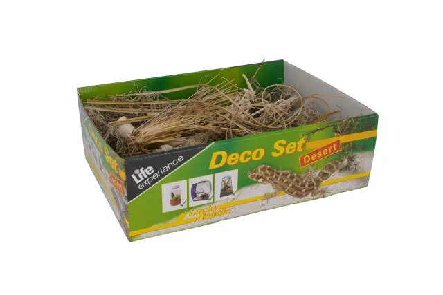Lucky Reptile Life Experience Deco Set Terrariumdeko