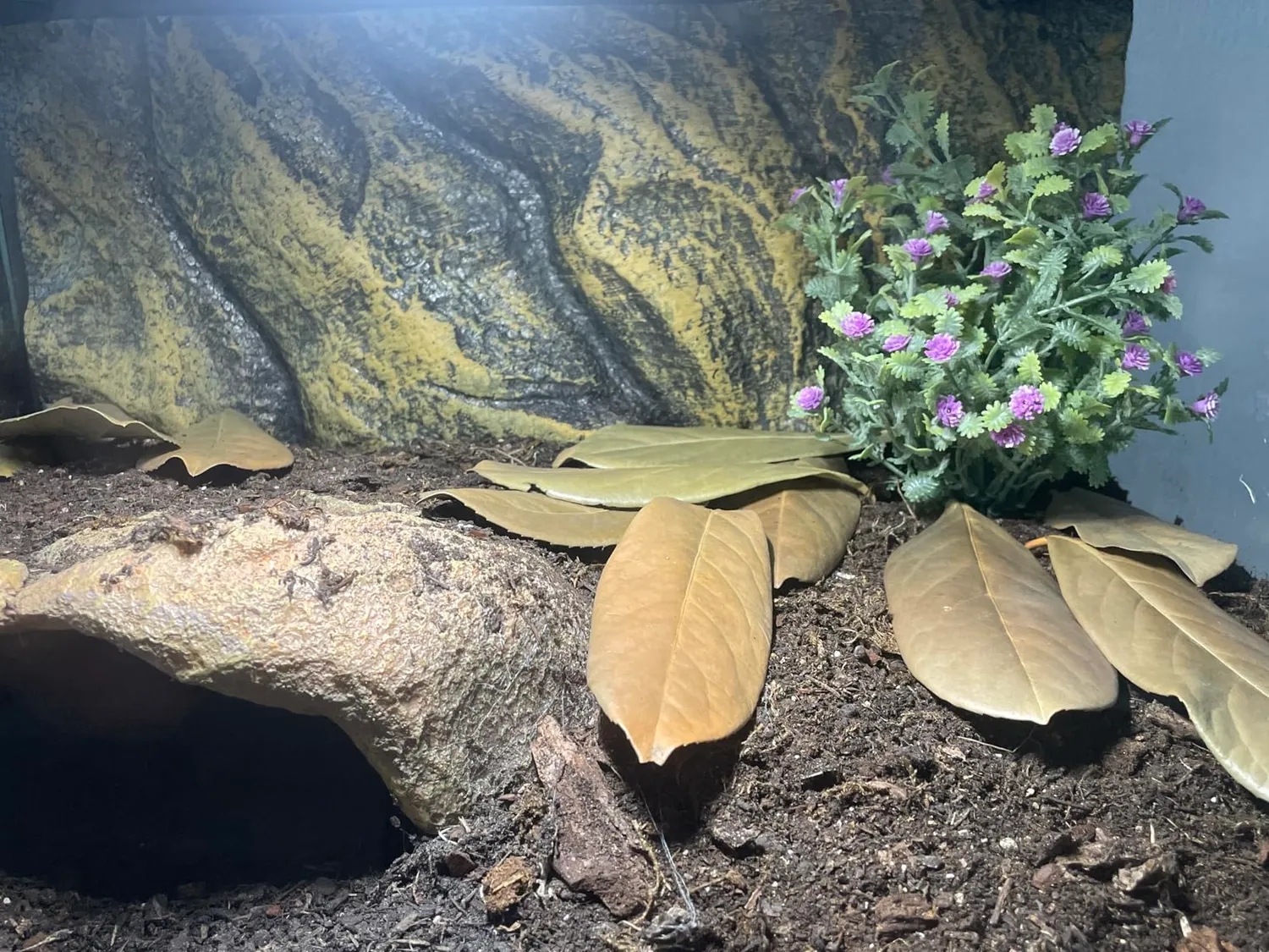 Lucky Reptile 64686 Trockenbusch Terrariendeko 190 g