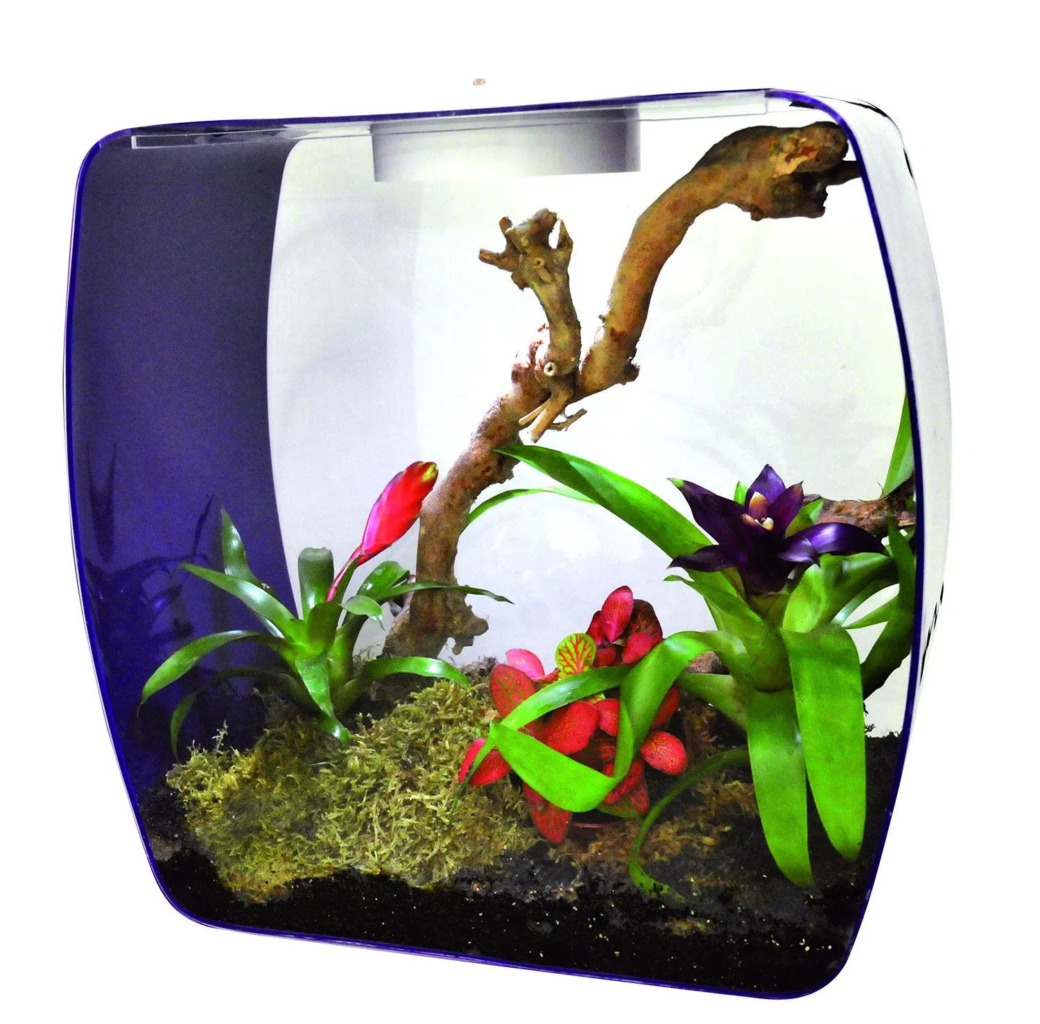 Lucky Reptile Life Box LB-30OP Terrarium belüftet
