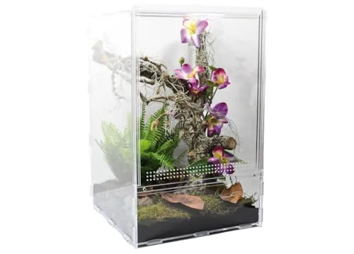 Lucky Reptile LifeTarrium Glasterrarium