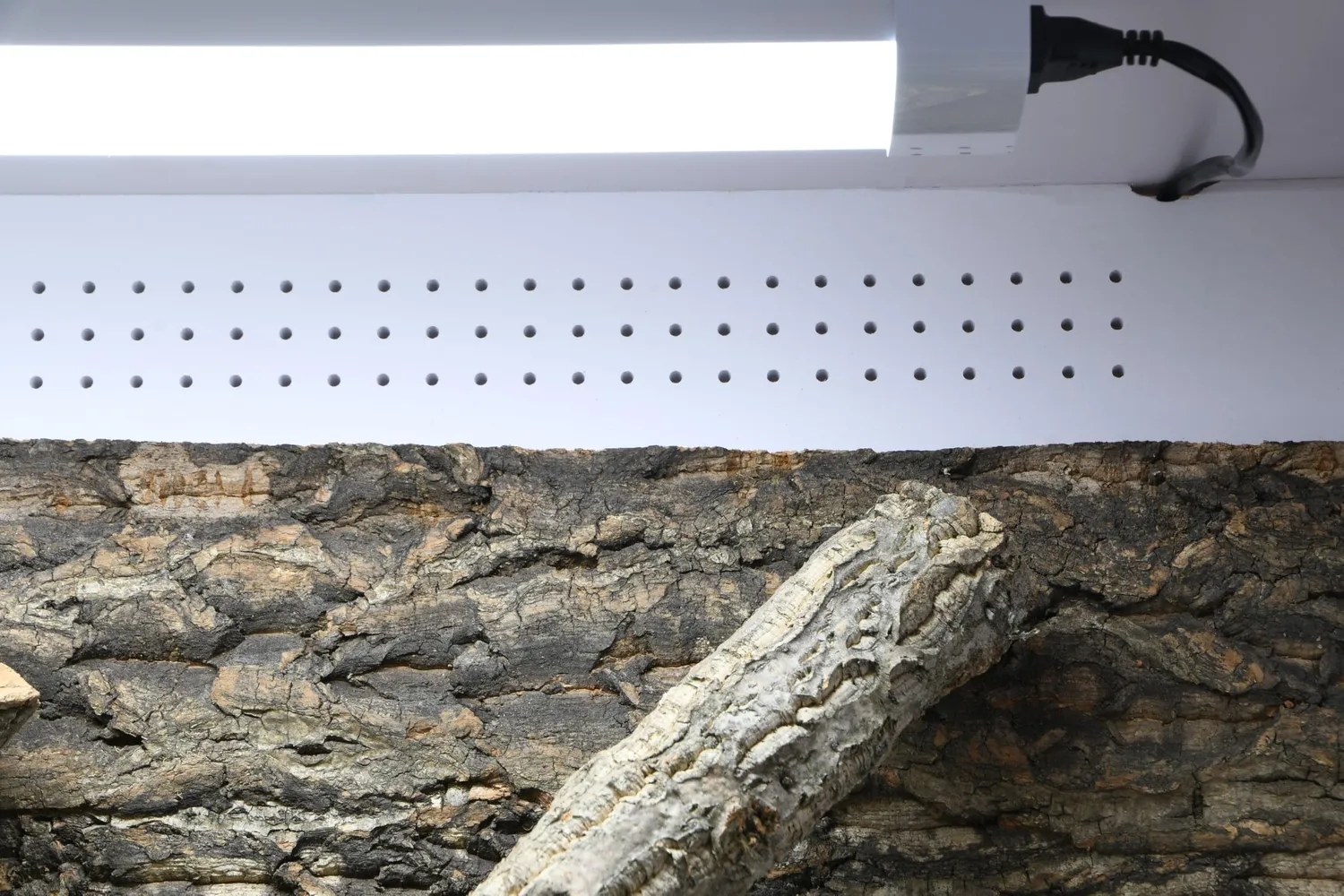 Lucky Reptile IsoTarrium Basic Kunststoffterrarium