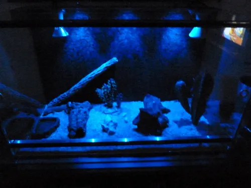Lucky Reptile Night Sky LED Mondlichtset