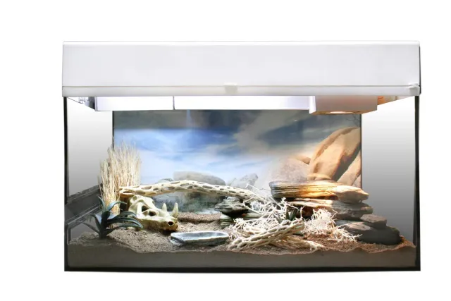 Lucky Reptile Starter Kit Wüstengecko Glasterrarium