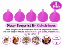 Die Mehlwurmfarm Kleinstsauger #2 Tierfutter für Eichhörnchen
