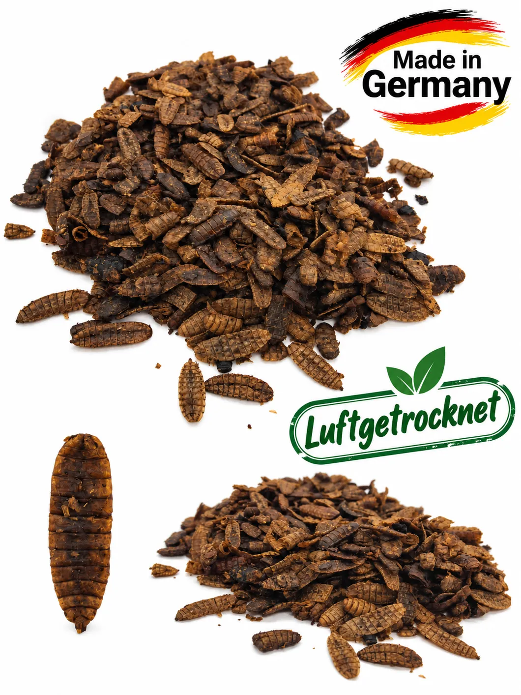 Die Mehlwurmfarm Hermetia Soldatenfliegenlarven Futter 43% Protein