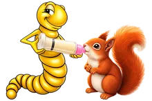 Die Mehlwurmfarm Eichhörnchen Pack #2 Futterset 4-teilig mit Saugern