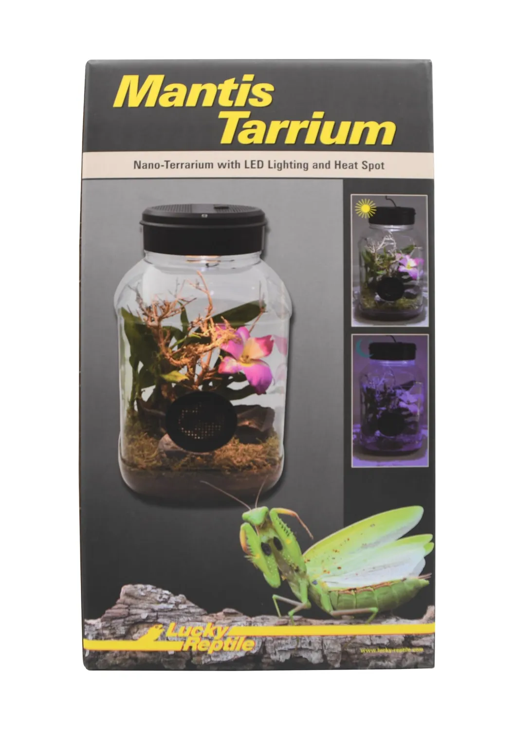 Lucky Reptile MantisTarrium Kleinterrarium 18 x 18 x 35 cm