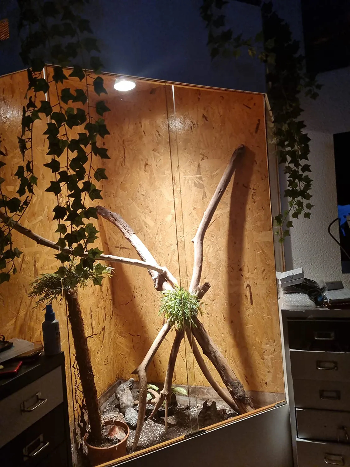 Lucky Reptile Halogen Sun Wärmelampe E27 dimmbar