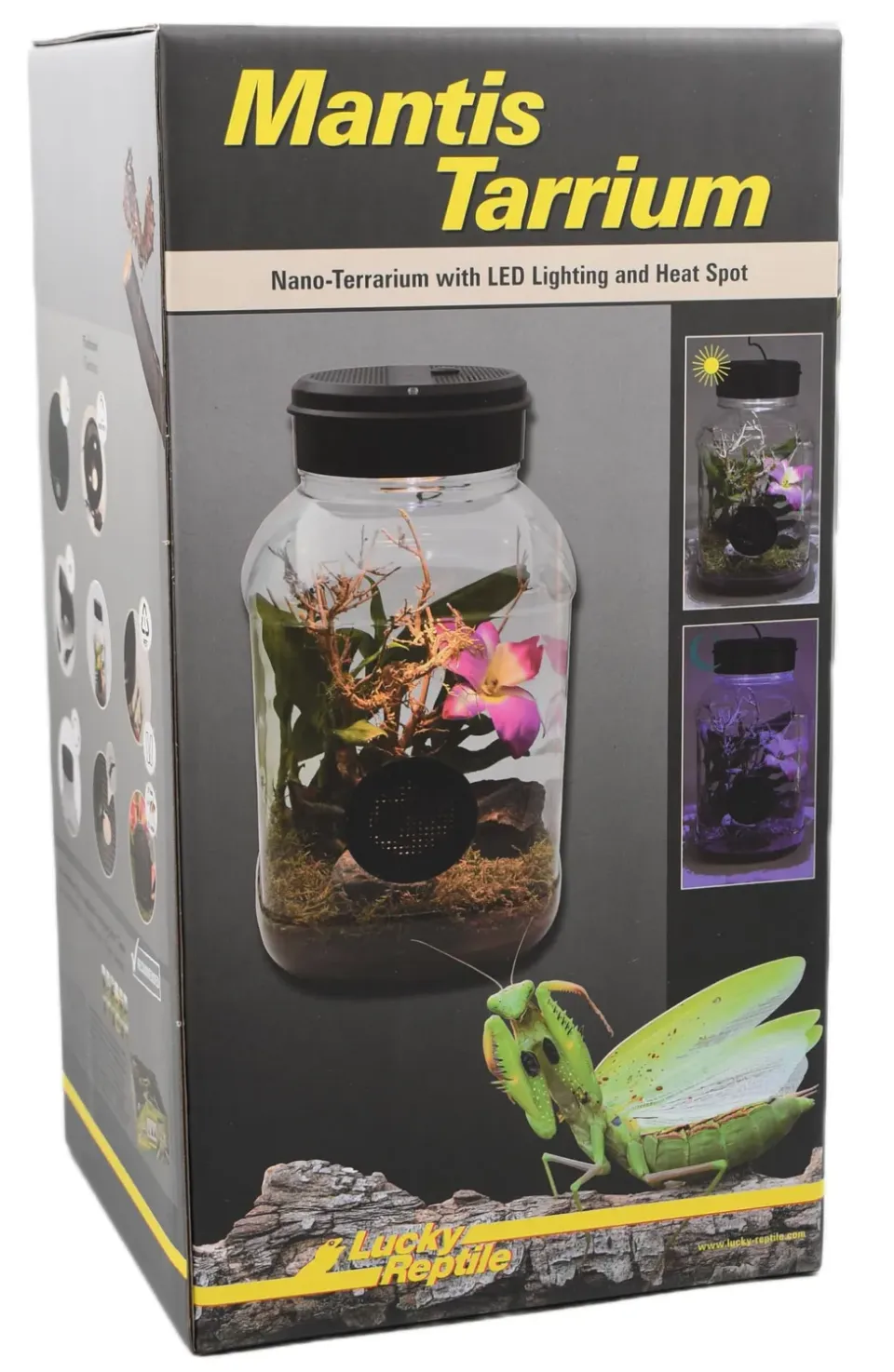 Lucky Reptile MantisTarrium Kleinterrarium 18 x 18 x 35 cm